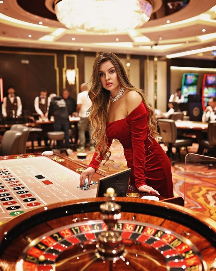 cv66 bet